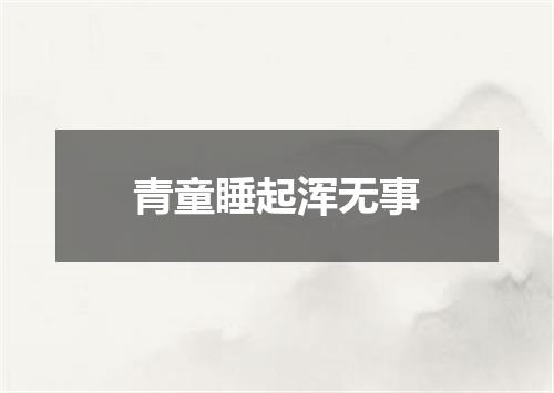 青童睡起浑无事