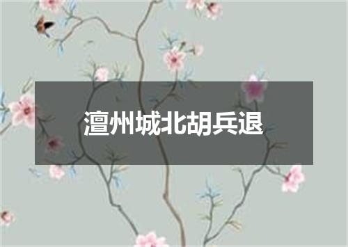 澶州城北胡兵退