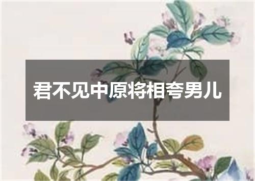 君不见中原将相夸男儿