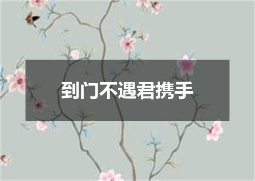 到门不遇君携手