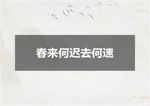 春来何迟去何速