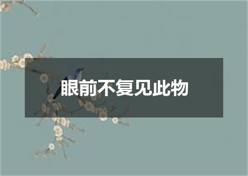 眼前不复见此物