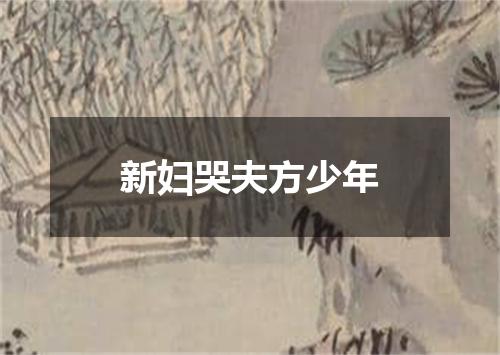 新妇哭夫方少年