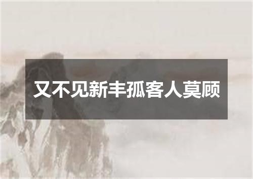 又不见新丰孤客人莫顾