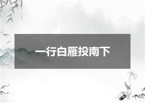 一行白雁投南下