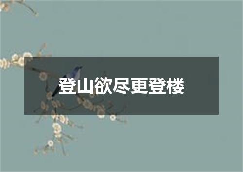 登山欲尽更登楼