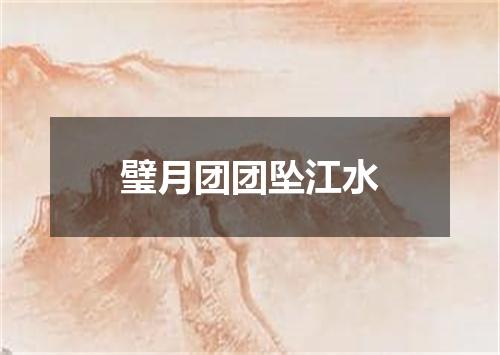 璧月团团坠江水