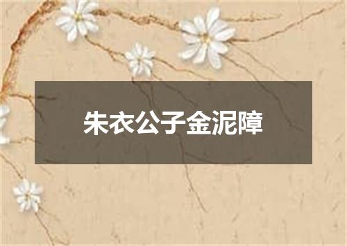 朱衣公子金泥障