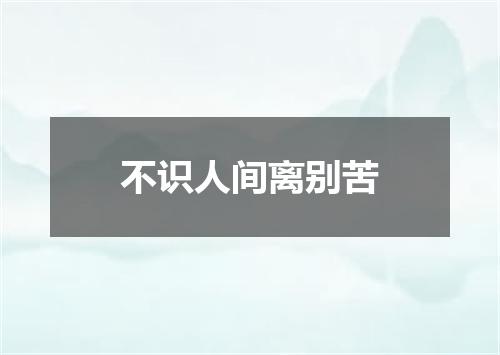 不识人间离别苦