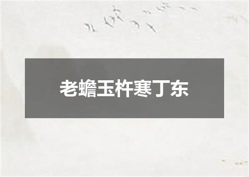 老蟾玉杵寒丁东