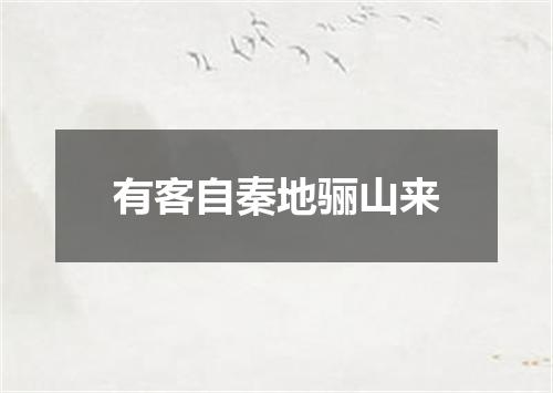 有客自秦地骊山来