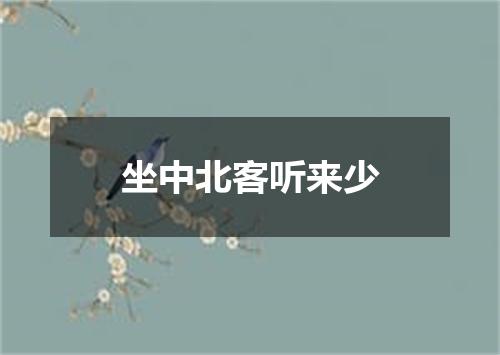 坐中北客听来少