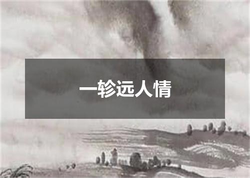 一轸远人情