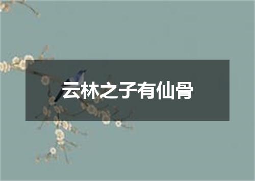 云林之子有仙骨