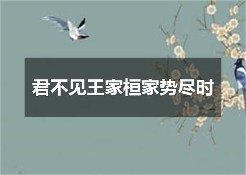 君不见王家桓家势尽时