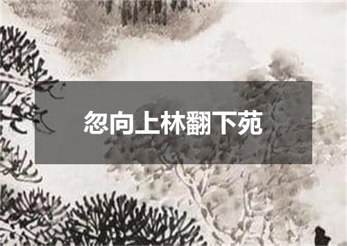 忽向上林翻下苑