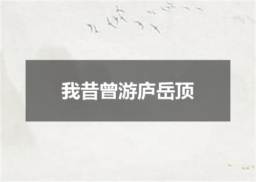 我昔曾游庐岳顶