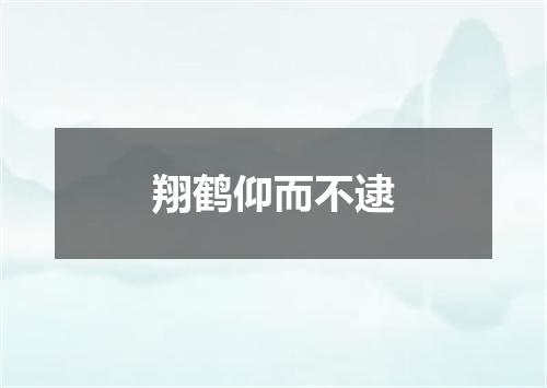 翔鹤仰而不逮
