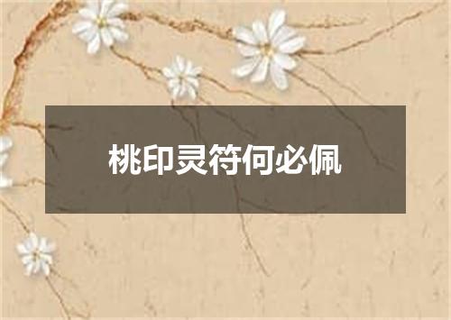 桃印灵符何必佩