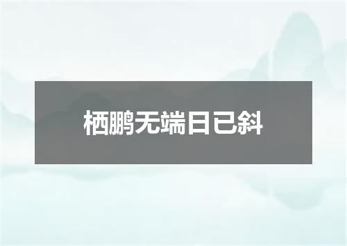 栖鹏无端日已斜
