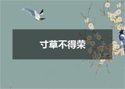 寸草不得荣