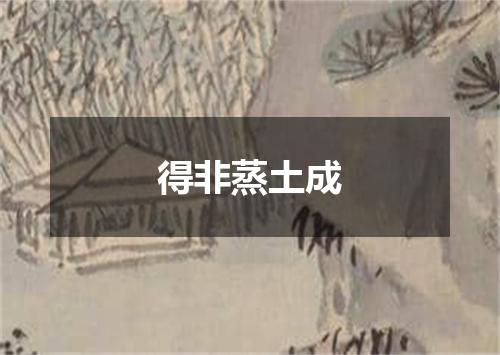 得非蒸土成