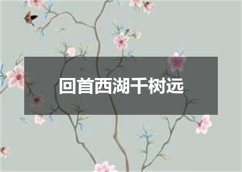 回首西湖千树远