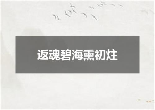 返魂碧海熏初炷