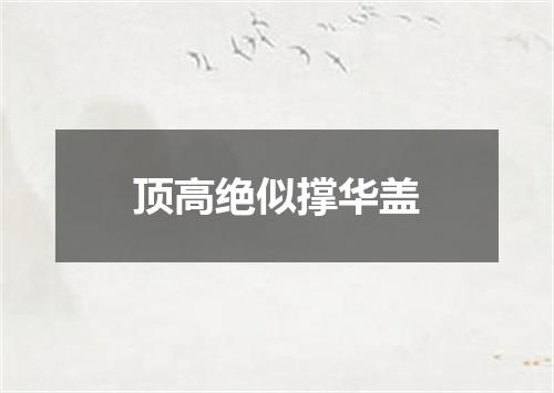 顶高绝似撑华盖