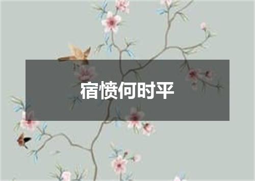 宿愤何时平