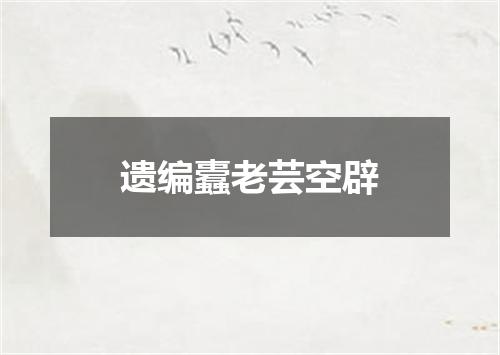 遗编蠹老芸空辟