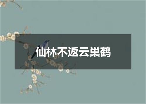 仙林不返云巢鹤