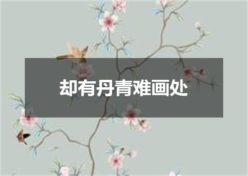 却有丹青难画处