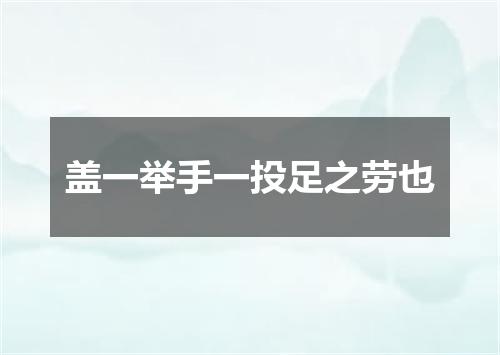 盖一举手一投足之劳也