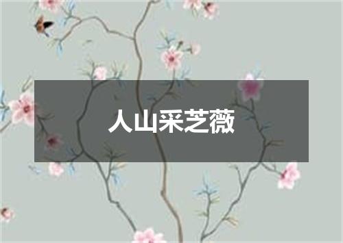 人山采芝薇