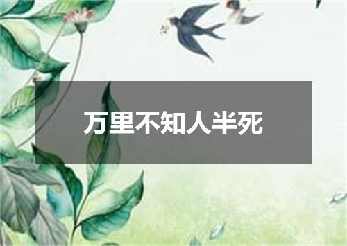 万里不知人半死