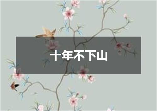 十年不下山
