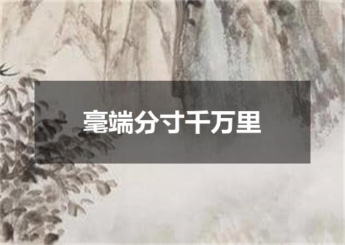 毫端分寸千万里