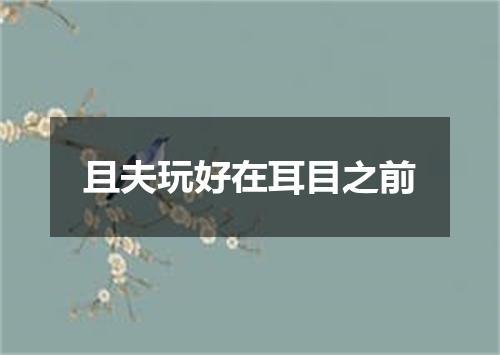 且夫玩好在耳目之前