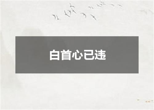 白首心已违