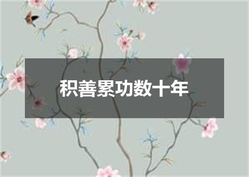 积善累功数十年