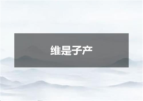 维是子产