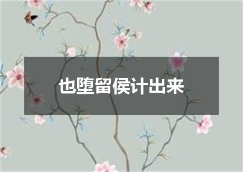 也堕留侯计出来