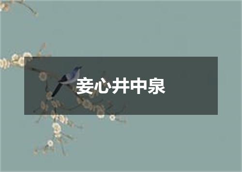 妾心井中泉