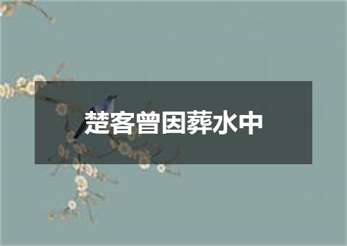 楚客曾因葬水中