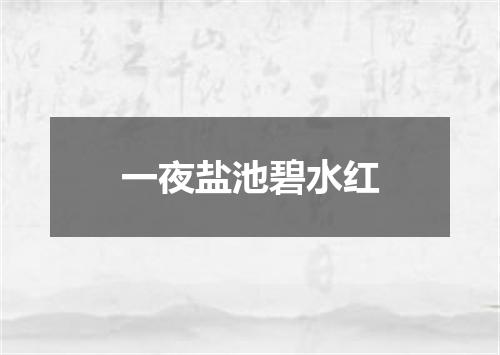 一夜盐池碧水红