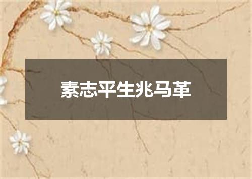 素志平生兆马革