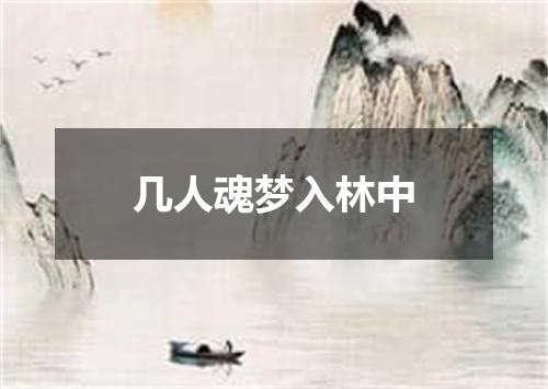 几人魂梦入林中