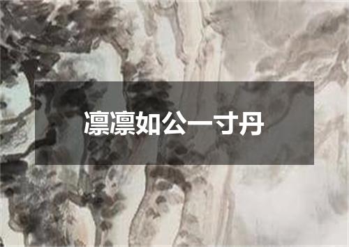 凛凛如公一寸丹