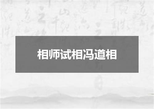 相师试相冯道相